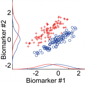 Here, we show two simulated biomarkers where the red and blue groups are overlapping if we only consider the single biomarkers. By combining the biomarkers, we see a clear separation boundary at the diagonal. Classification algorithms aim to identify this boundary, and use it to predict group association for new data.